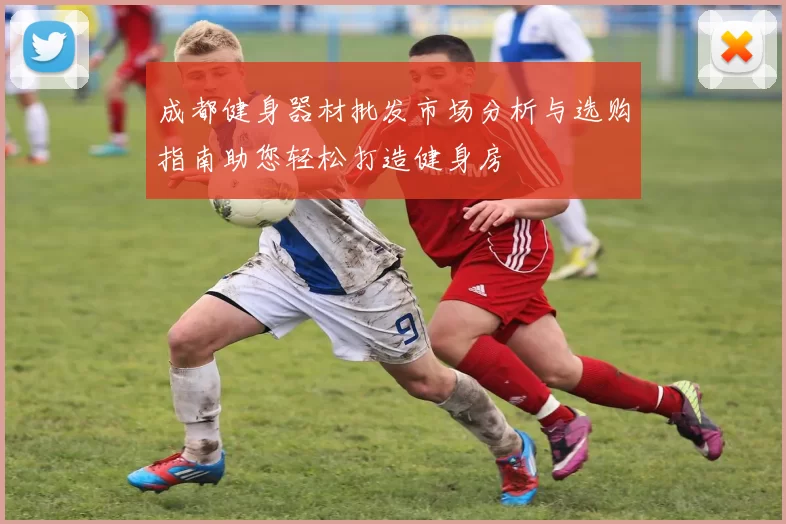 成都健身器材批发市场分析与选购指南助您轻松打造健身房