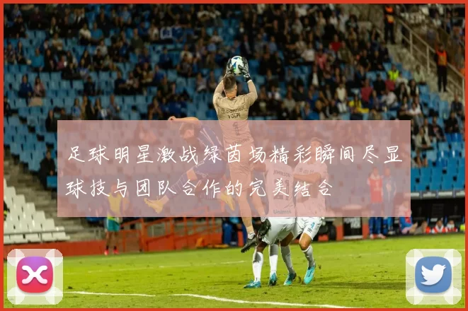 足球明星激战绿茵场精彩瞬间尽显球技与团队合作的完美结合