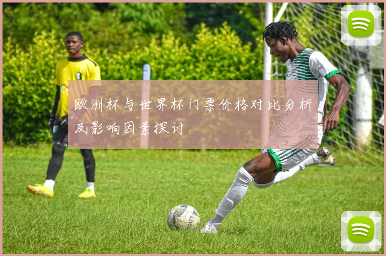 欧洲杯与世界杯门票价格对比分析及影响因素探讨